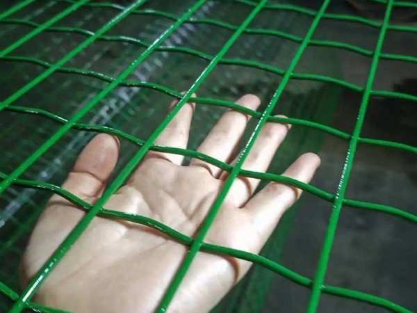 荷蘭網